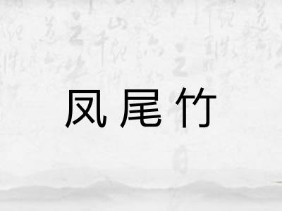 凤尾竹