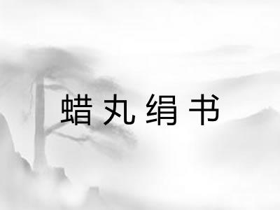 蜡丸绢书 蜡丸绢书