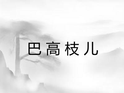 巴高枝儿 巴高枝儿