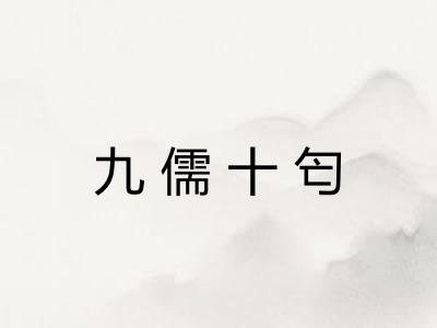 九儒十匄 九儒十匄