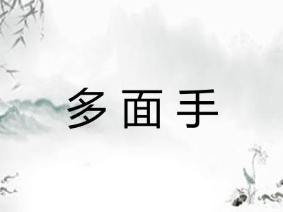 多面手