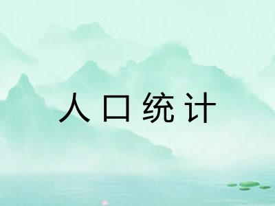 人口统计 人口统计