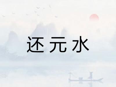 还元水