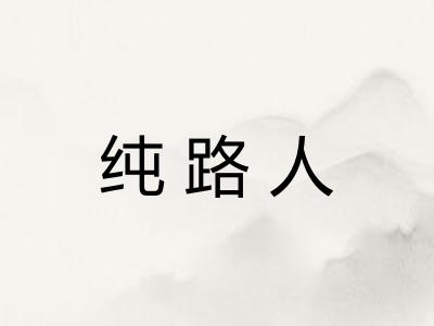 纯路人