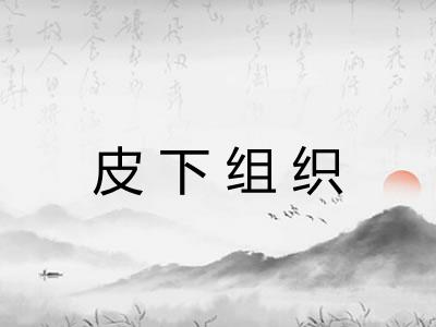 皮下组织