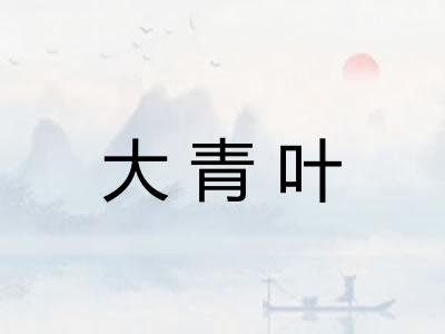 大青叶