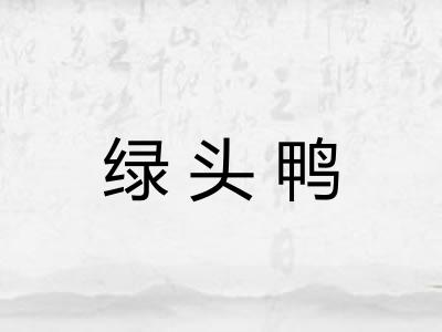 绿头鸭