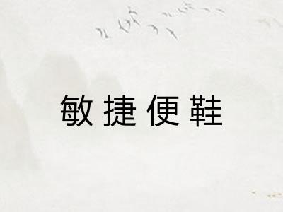 敏捷便鞋 敏捷便鞋