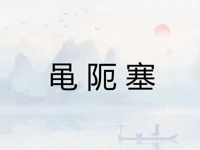 黾阨塞