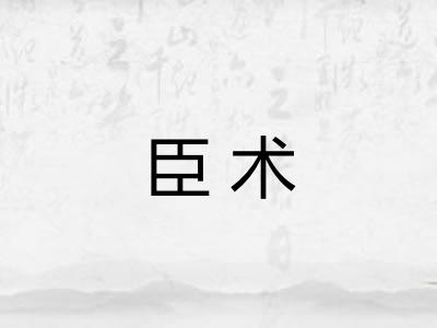 臣术 臣术