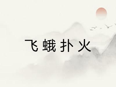 飞蛾扑火