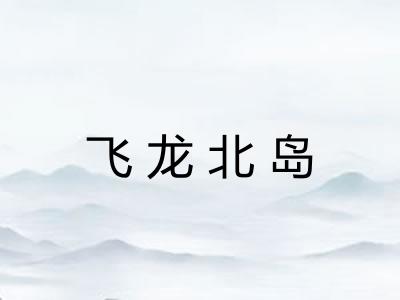 飞龙北岛