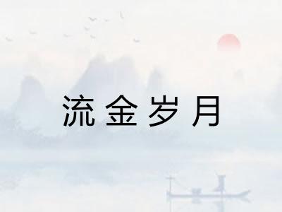 流金岁月