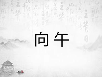 向午