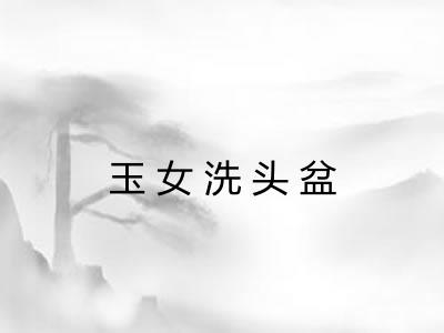 玉女洗头盆