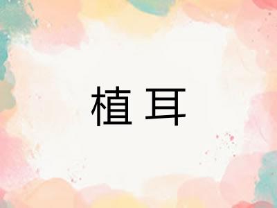 植耳