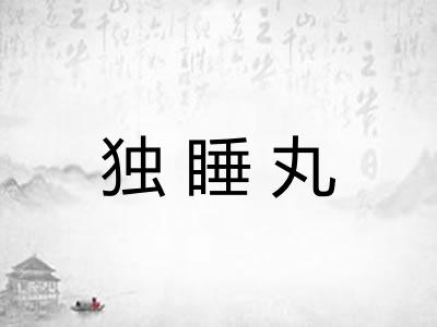 独睡丸