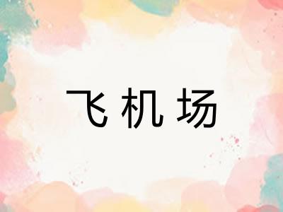 飞机场 飞机场