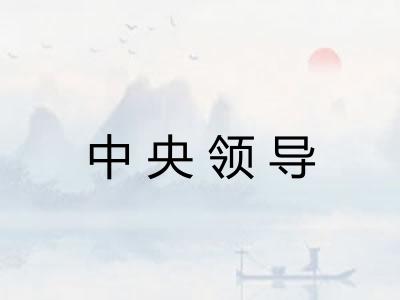 中央领导