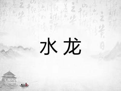 水龙 水龙