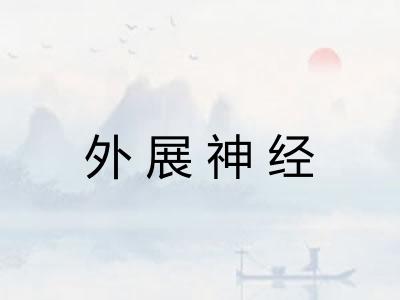 外展神经
