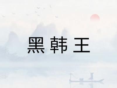 黑韩王