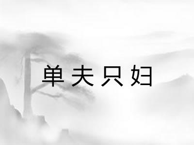 单夫只妇 单夫只妇