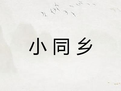 小同乡
