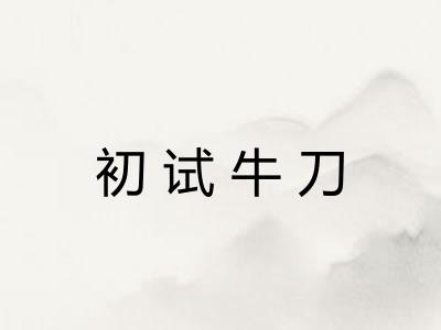 初试牛刀