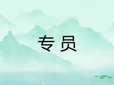 专员