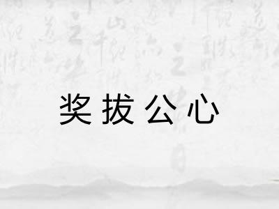 奖拔公心