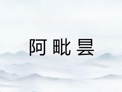 阿毗昙