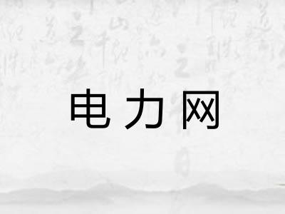 电力网