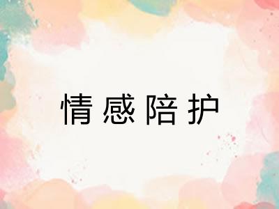 情感陪护