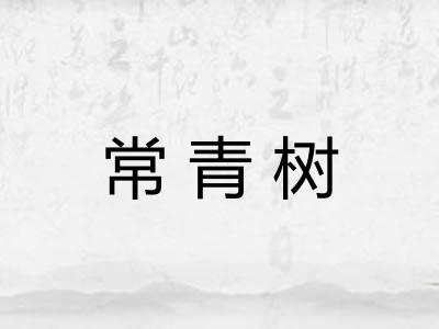 常青树