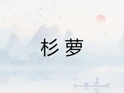 杉萝