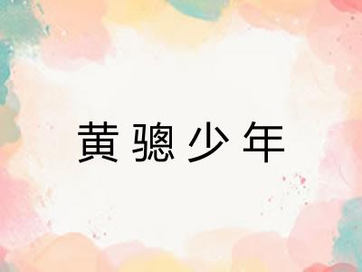 黄骢少年