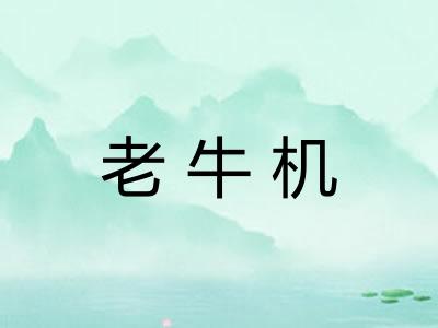 老牛机