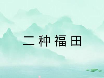 二种福田