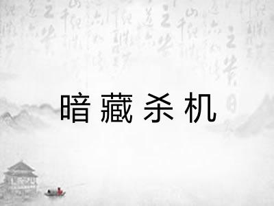 暗藏杀机 暗藏杀机