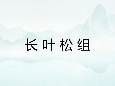 长叶松组