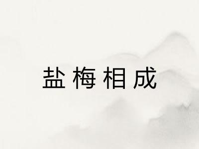 盐梅相成 盐梅相成