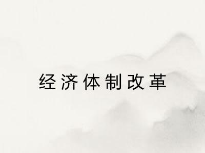 经济体制改革 经济体制改革