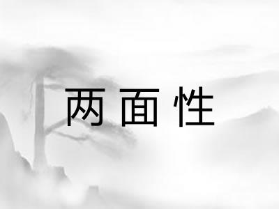 两面性