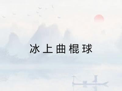 冰上曲棍球