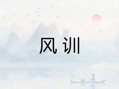 风训 风训