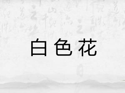 白色花