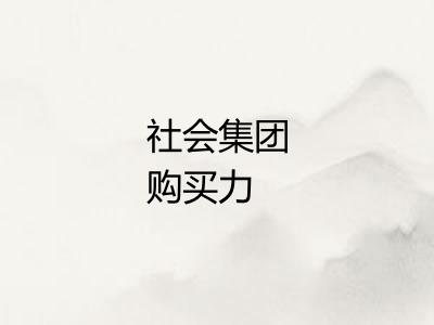 社会集团购买力