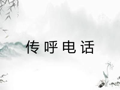 传呼电话 传呼电话