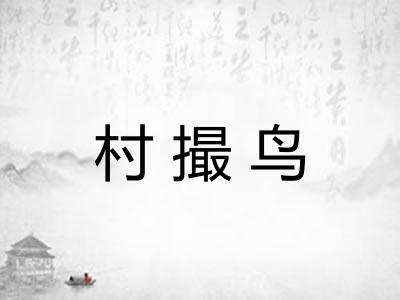 村撮鸟